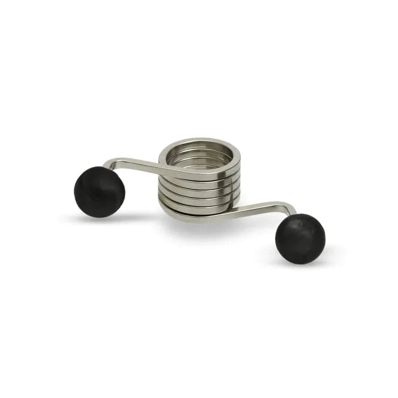 Paumelle deur dranger/veer Rvs