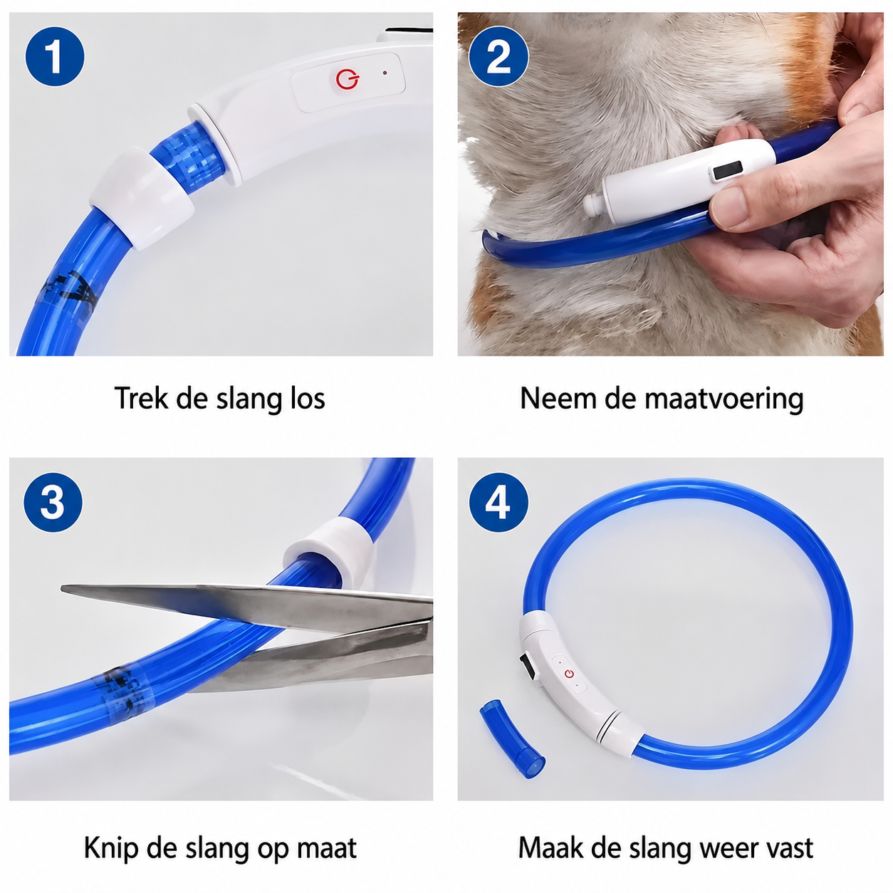 Led verlichting: EDeco Dog & Cat